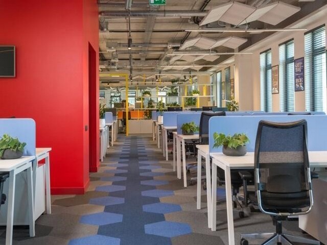 贵州省白酱酒厂哪家好